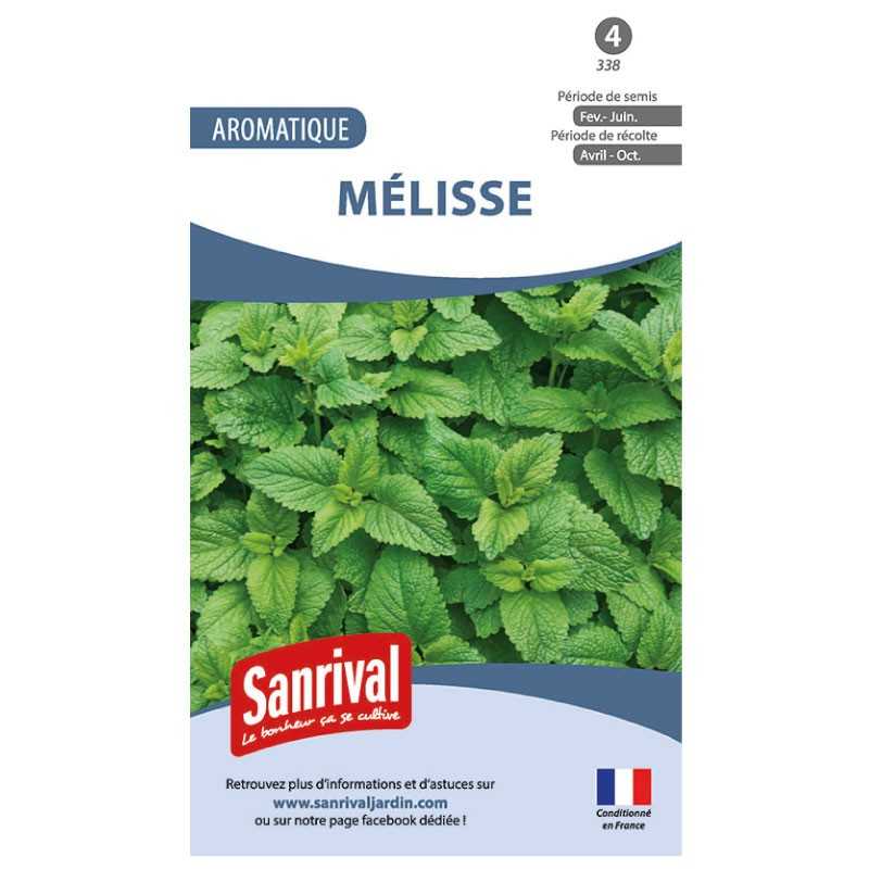 Graines de Mélisse Graines de Mélisse