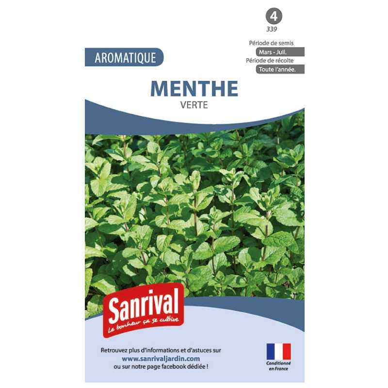 Graines de Menthe Verte Graines de Menthe Verte