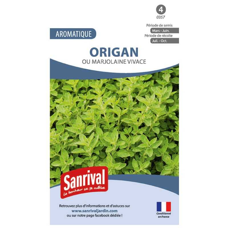 Graines d'Origan ou marjolaine vivace Graines d'Origan ou marjolaine vivace