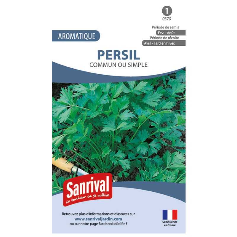 Graines de Persil commun ou simple Graines de Persil commun ou simple