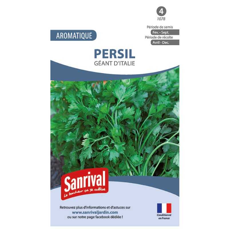 Graines de Persil Géant d'Italie Graines de Persil Géant d'Italie