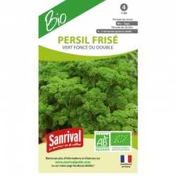 Graines de Persil fris&eacute; Vert fonc&eacute; ou double bio