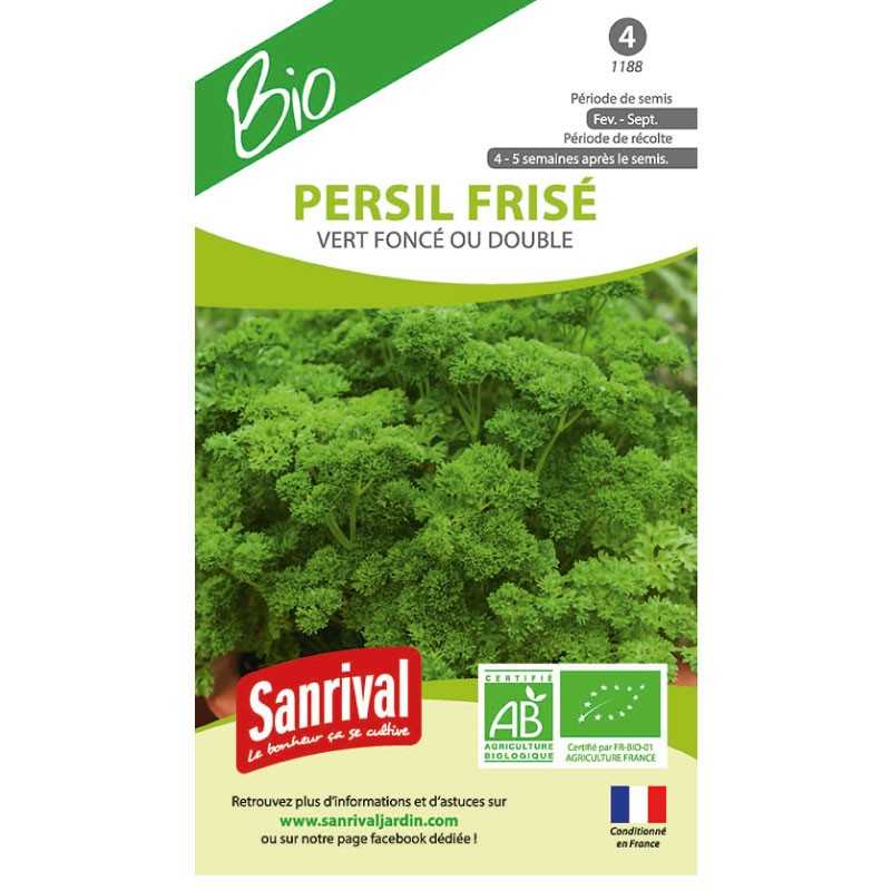 Graines de Persil frisé Vert foncé ou double bio Graines de Persil frisé Vert foncé ou double bio