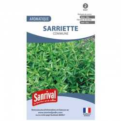 Graines de Sarriette Commune