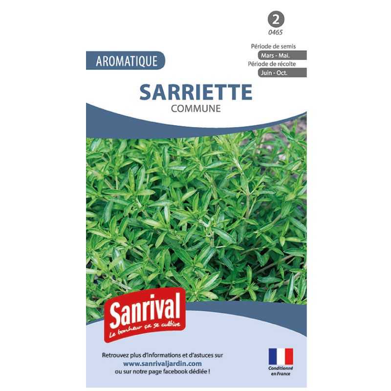 Graines de Sarriette Commune Graines de Sarriette Commune