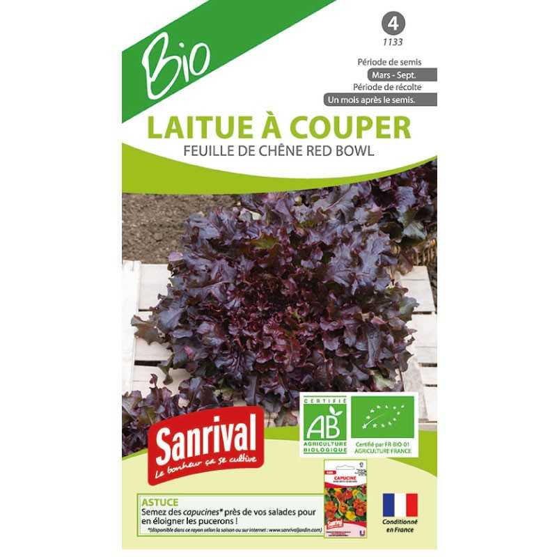graines de Laitue à couper feuille de chêne red bowl graines de Laitue à couper feuille de chêne red bowl