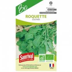 graines de Roquette Cultiv&eacute;e