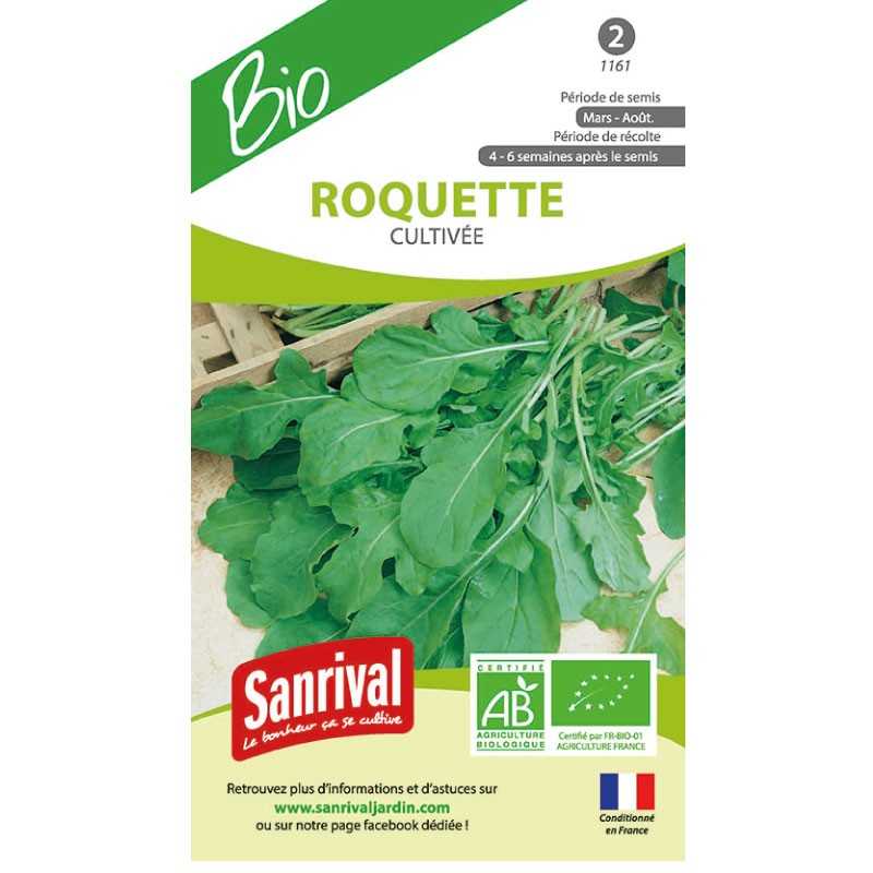 graines de Roquette Cultivée graines de Roquette Cultivée