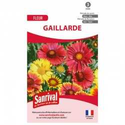 Graines de gaillarde
