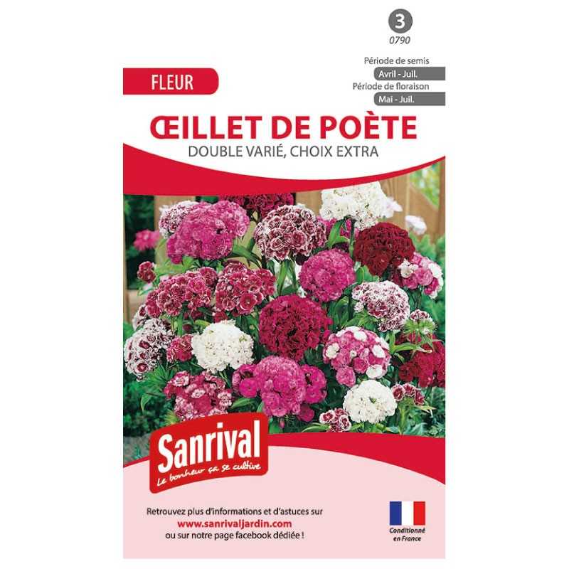 Graines d'oeillet de poète double varié, choix extra Graines d'oeillet de poète double varié, choix extra