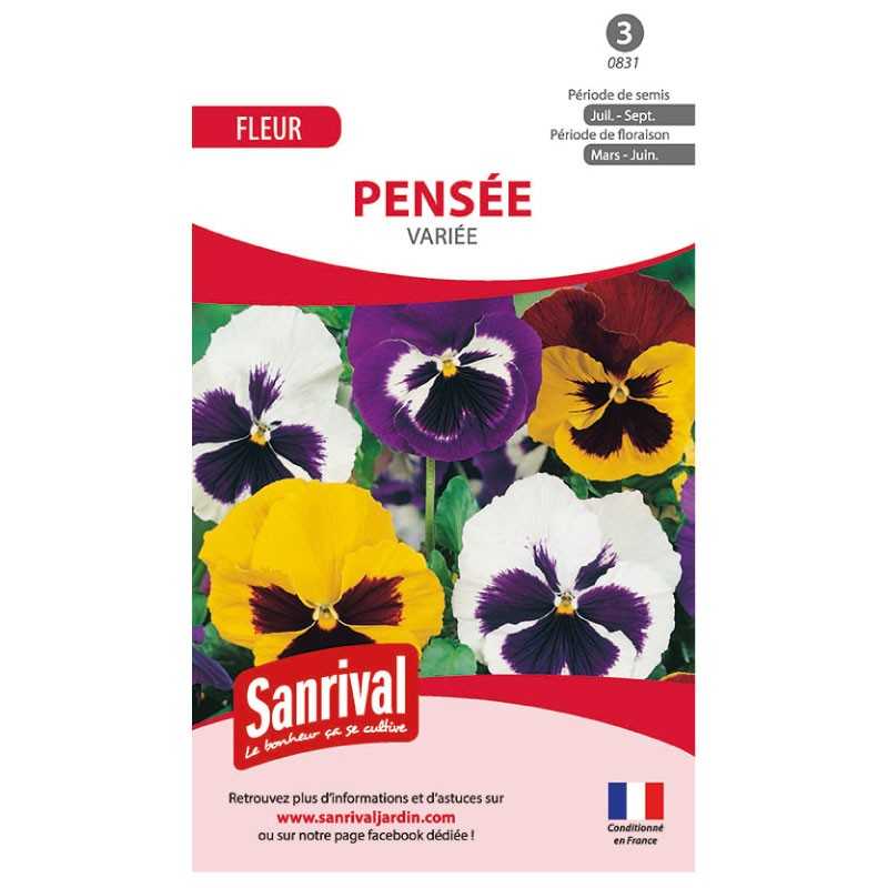 Graines de pensées variées Graines de pensées variées