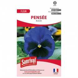 Graines de pens&eacute;es bleues