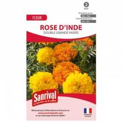 Rose d'inde double grande...