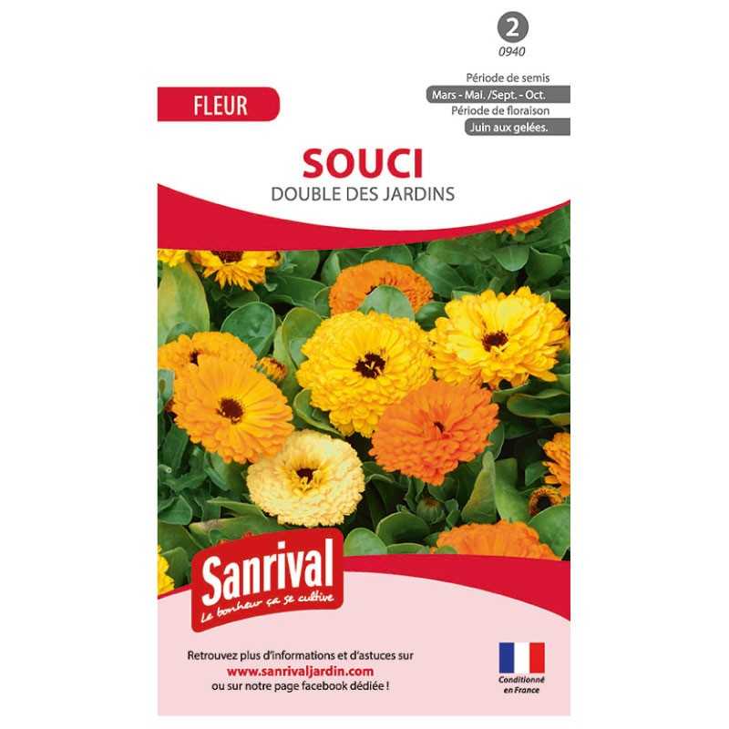 Graines de souci double des jardins Graines de souci double des jardins