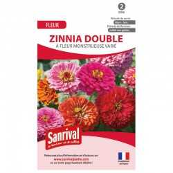 graines de Zinnia double &agrave; fleur monstrueuse vari&eacute;