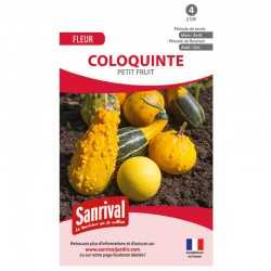 Graines de coloquinte petit fruit