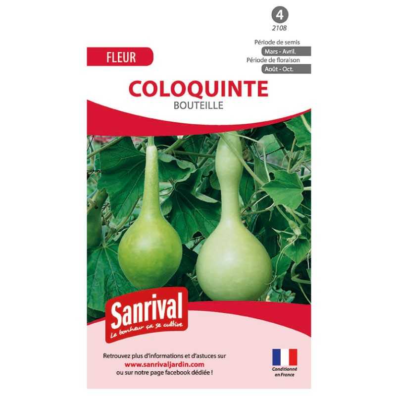 Graines de coloquinte bouteille Graines de coloquinte bouteille