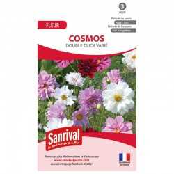 Graines de cosmos double click varié