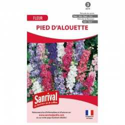 Graines de pied d'alouette