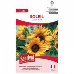 Graines de tournesol soleil &agrave; coeur