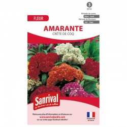 Amarante Cr&ecirc;te de Coq