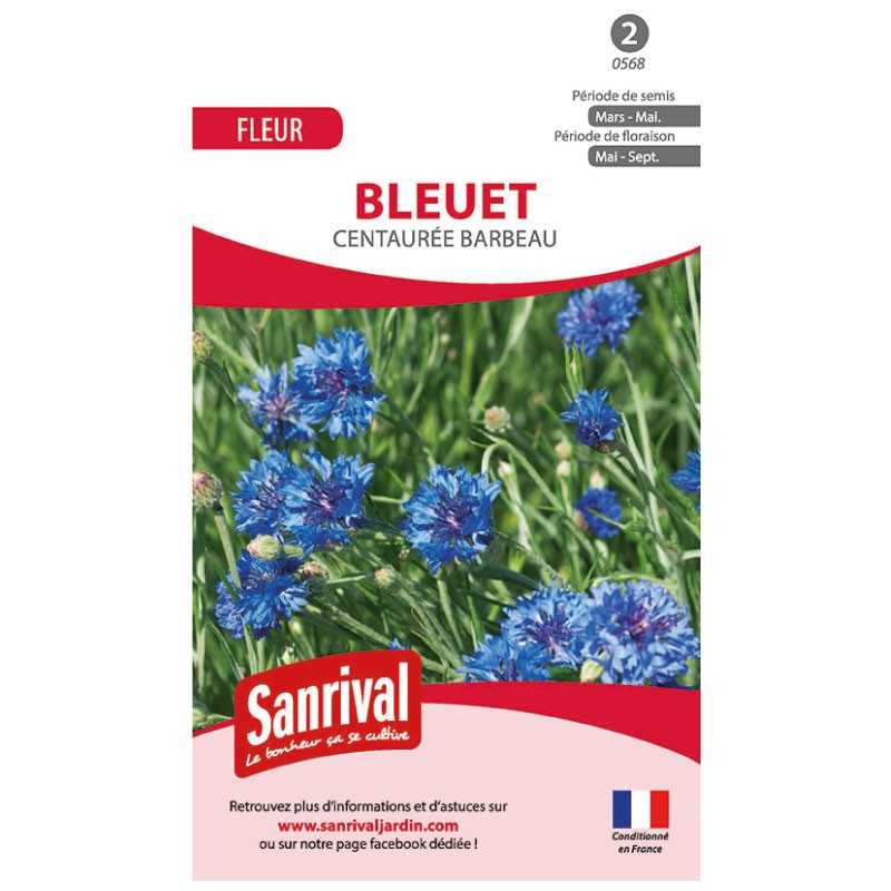 graines de bleuet centaurée barbeau graines de bleuet centaurée barbeau