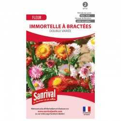 Graines d'immortelle &agrave; bract&eacute;es double vari&eacute;e