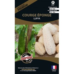 graines de Courge &eacute;ponge Luffa