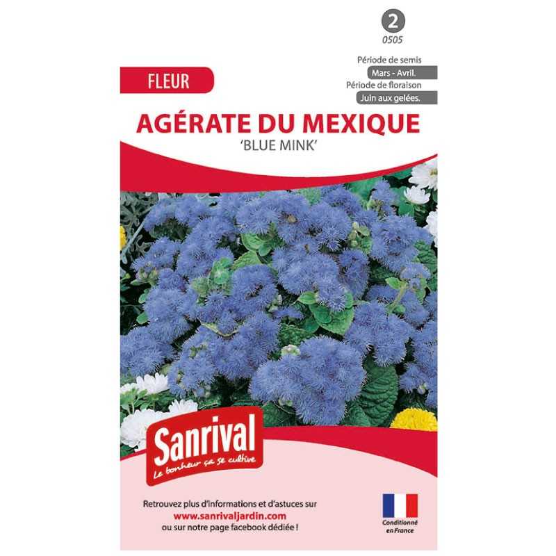 Graines d'Agérate du Mexique Blue Mink Graines d'Agérate du Mexique Blue Mink