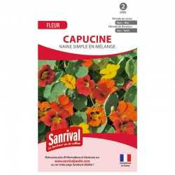 Graines de capucine naine simple en mélange
