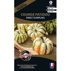 graines de Courge Patidou Sweet Dumpling