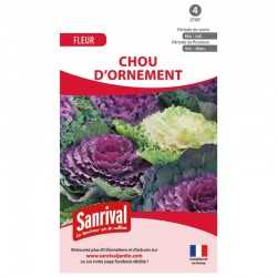 Chou d'ornement