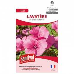Lavatère Carmin Brillant