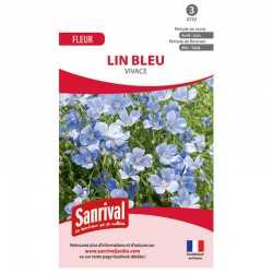 Lin Bleu Vivace