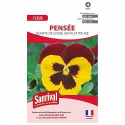 Pens&eacute;e G&eacute;ante de Suisse jaune et rouge