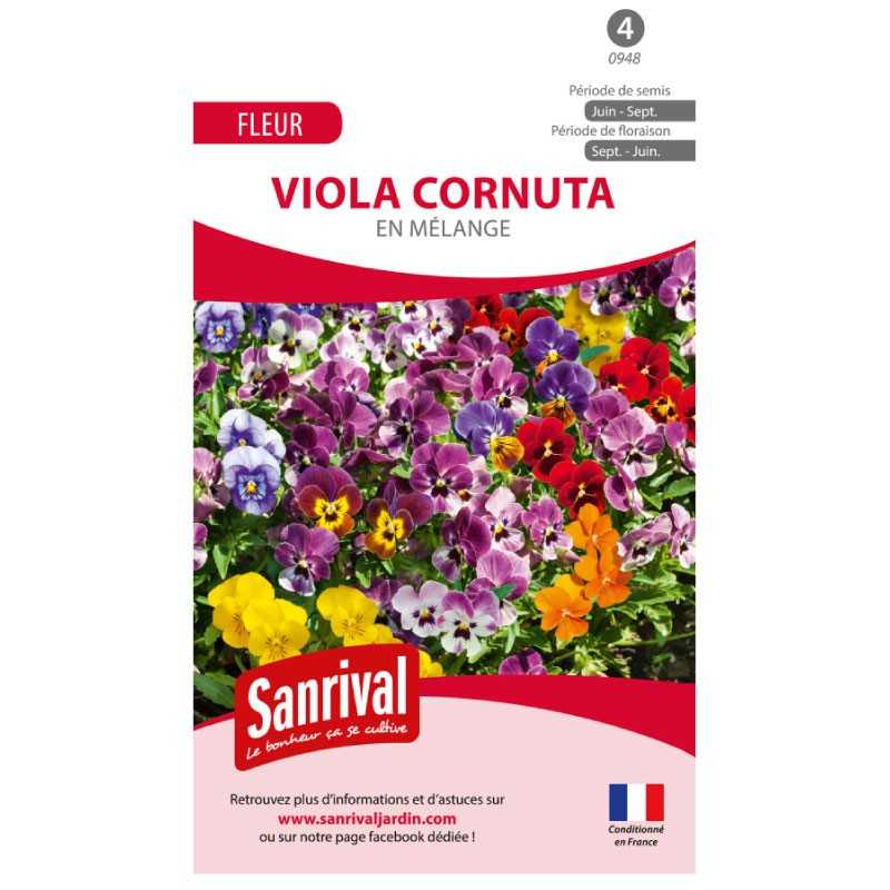 Graines de viola cornuta Graines de viola cornuta