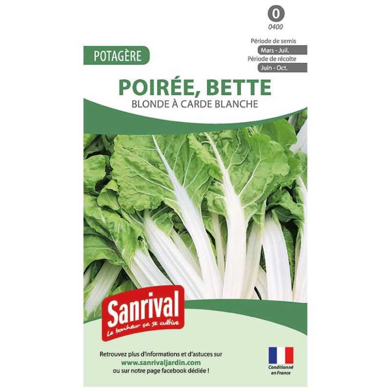 Graines de Poirée blonde à carde blanche (bette) Graines de Poirée blonde à carde blanche (bette)