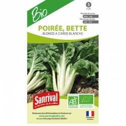 Graines de Poir&eacute;e Bette blonde &agrave; carde blanche