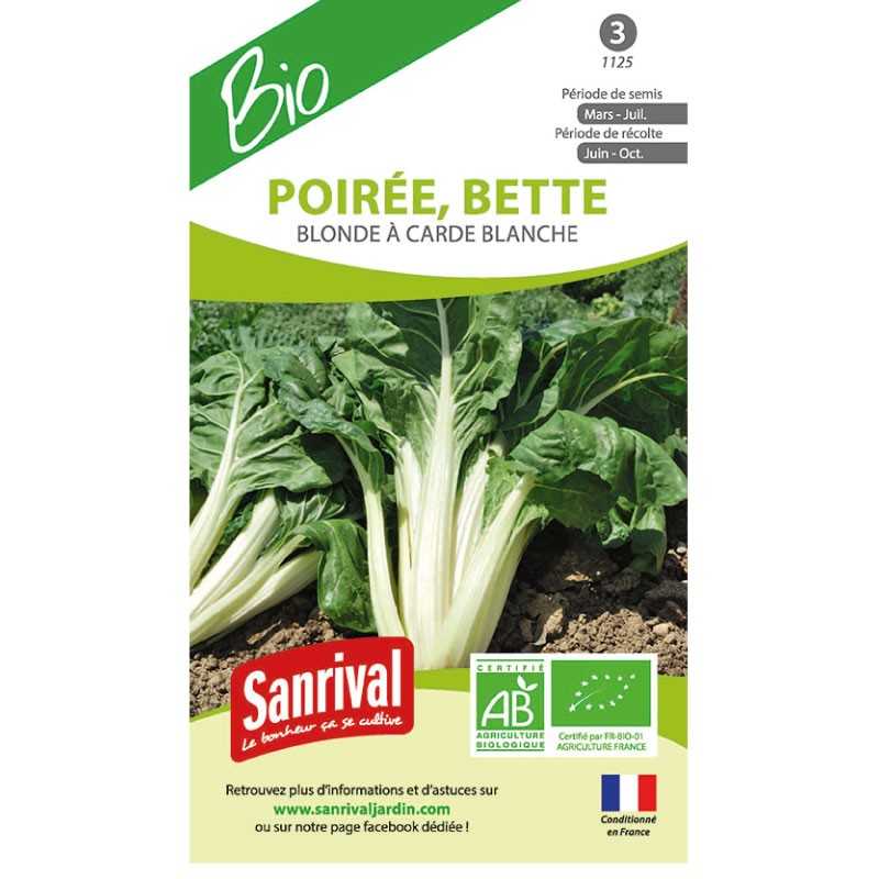 Graines de Poirée Bette blonde à carde blanche Graines de Poirée Bette blonde à carde blanche