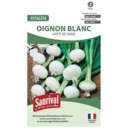 Graines d'oignon blanc Hatifs de Paris