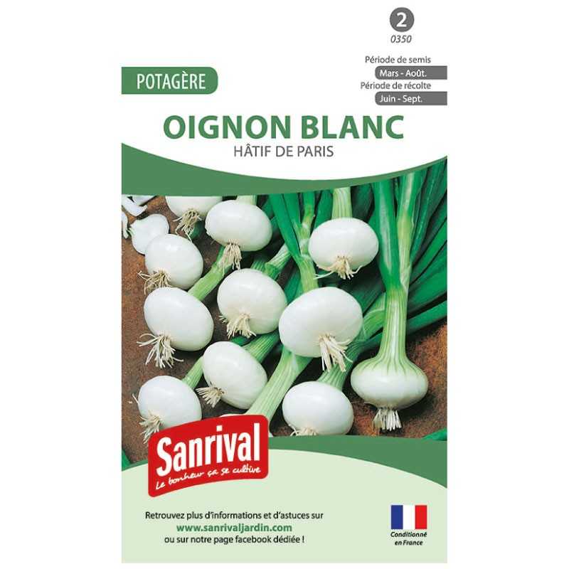 Graines d'oignon blanc Hatifs de Paris Graines d'oignon blanc Hatifs de Paris