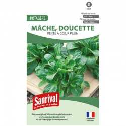 Graines de Mâche Verte à cœur plein (doucette)