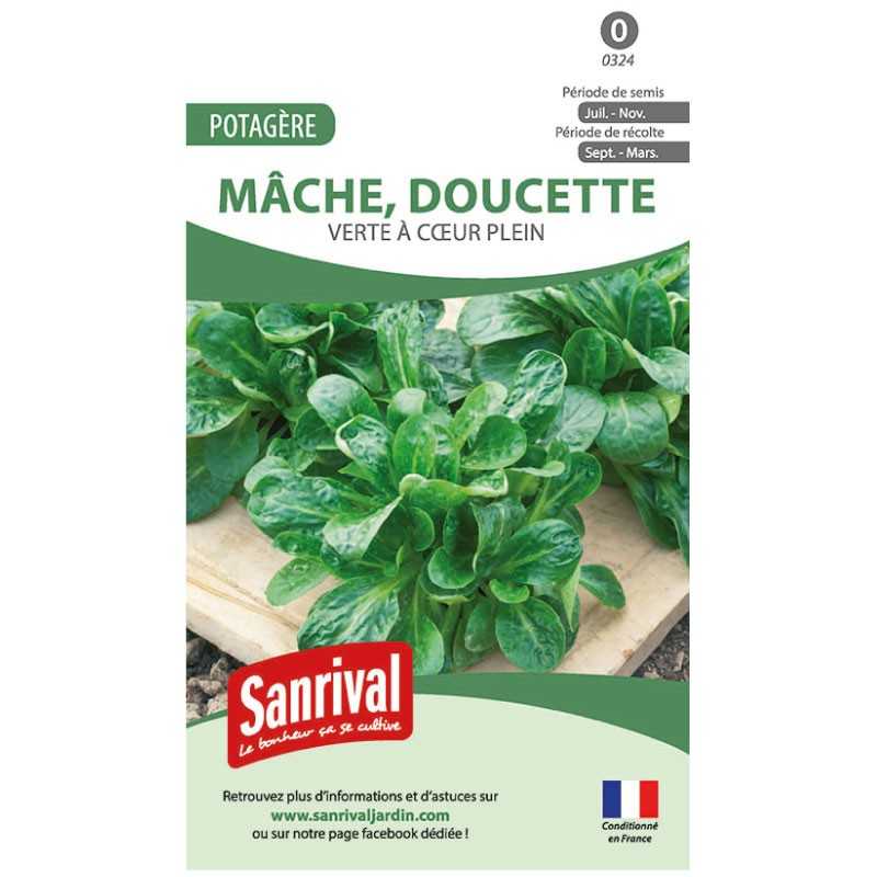Graines de Mâche Verte à cœur plein (doucette)