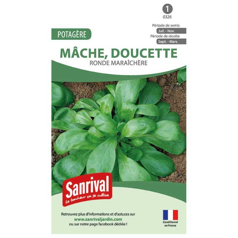 Graines de Mâche Ronde maraichère (doucette) Graines de Mâche Ronde maraichère (doucette)