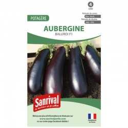 Graines d'Aubergine Baluroi F1