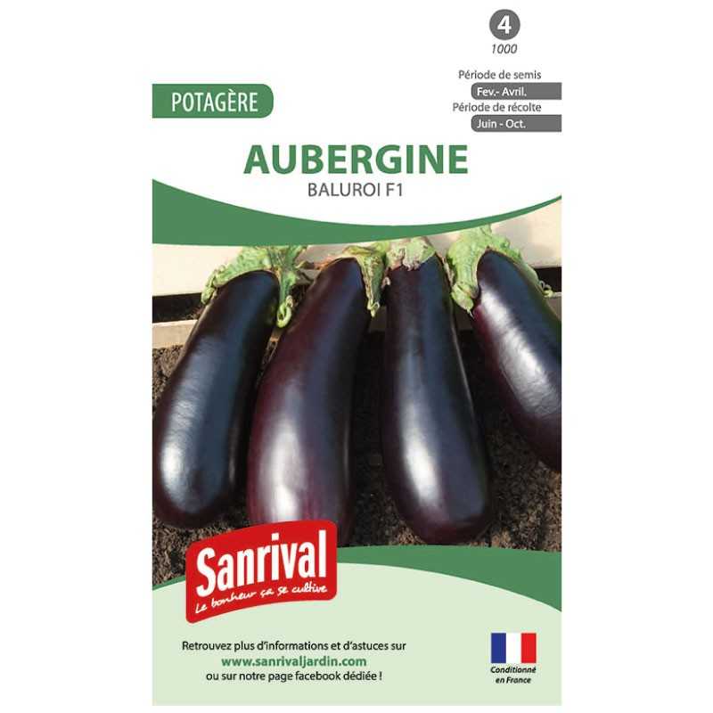 Graines d'Aubergine Baluroi F1 Graines d'Aubergine Baluroi F1