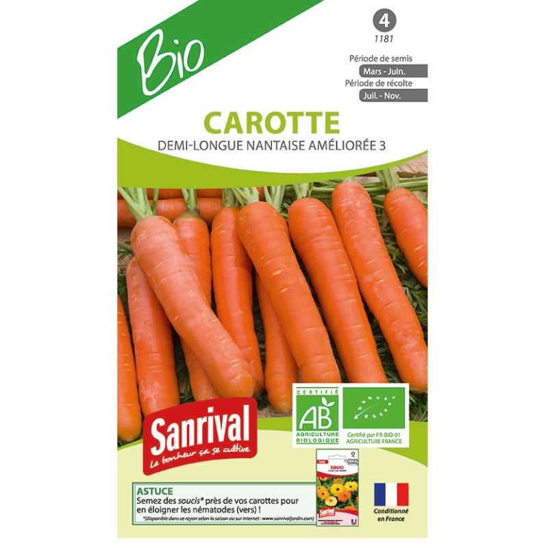 graines de Carotte demi-longue Nantaise améliorée 3 graines de Carotte demi-longue Nantaise améliorée 3