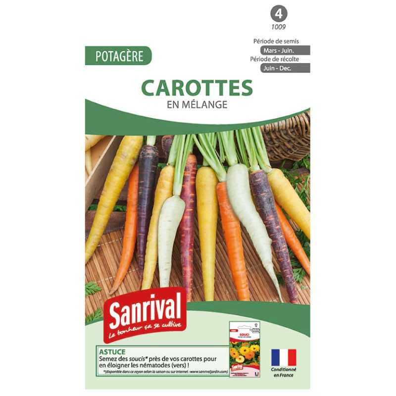 graines de Carottes en mélange graines de Carottes en mélange