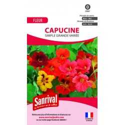 Graines de Capucine simple grande vari&eacute;e