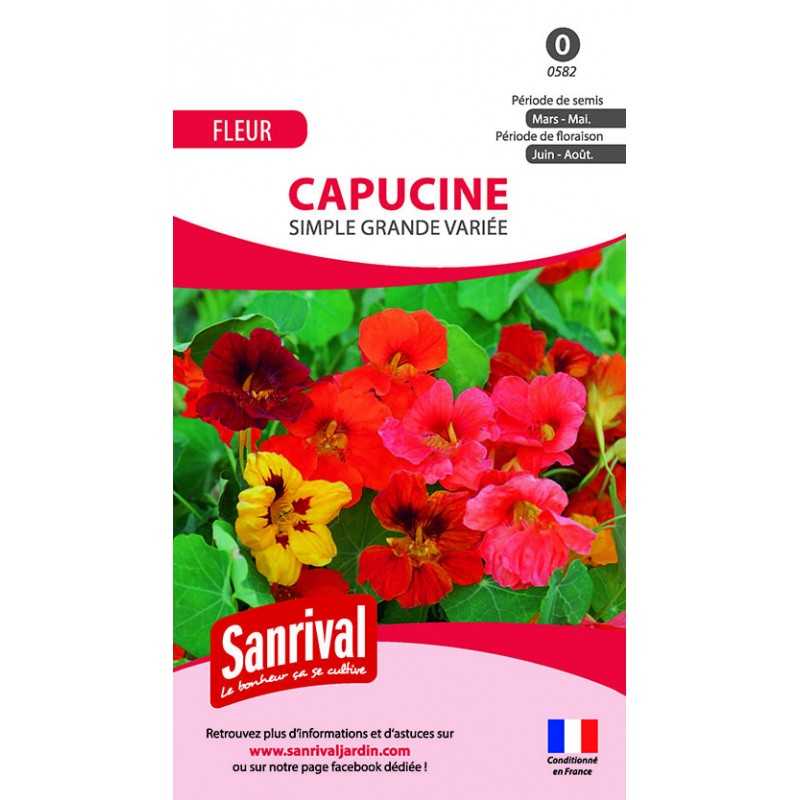Graines de Capucine simple grande variée Graines de Capucine simple grande variée